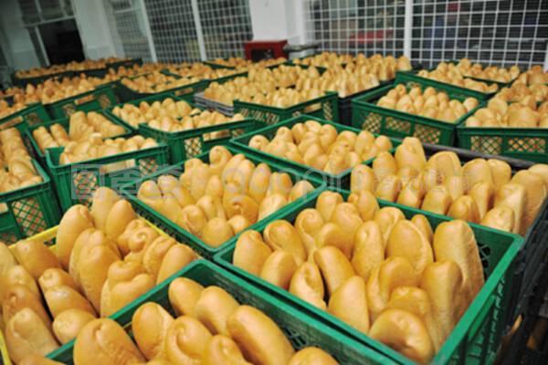 現(xiàn)代面包工廠 食品生產(chǎn)的科學(xué)流程與質(zhì)量管理