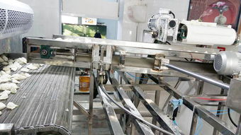 天嘉SD-03速凍水餃流水線 滎陽天嘉食品機械制造廠的日用百貨生產(chǎn)利器